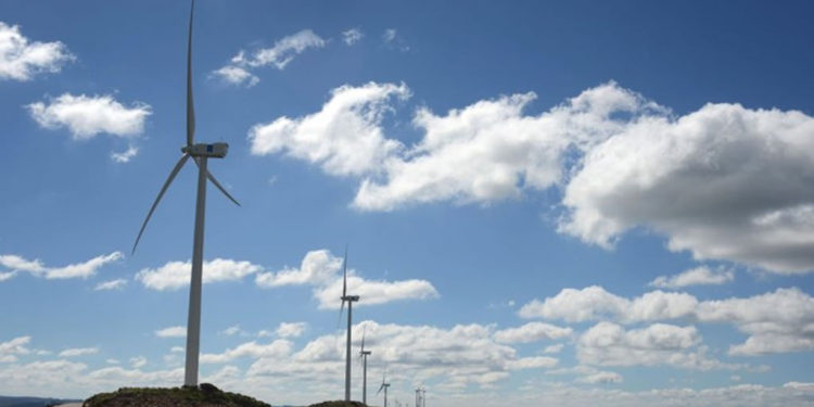 “Revolución eólica”: la sobreproducción de la energía que nos une