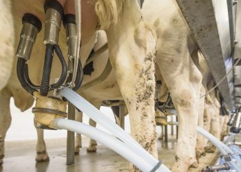 Justino Zavala: Para competir en el mercado internacional “el país tiene que reestructurar todo su funcionamiento”