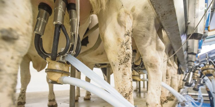 Justino Zavala: Para competir en el mercado internacional “el país tiene que reestructurar todo su funcionamiento”