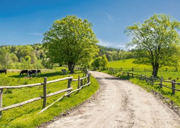 Concentración, extranjerización, emigración