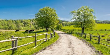 Concentración, extranjerización, emigración