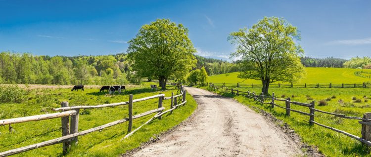 Concentración, extranjerización, emigración