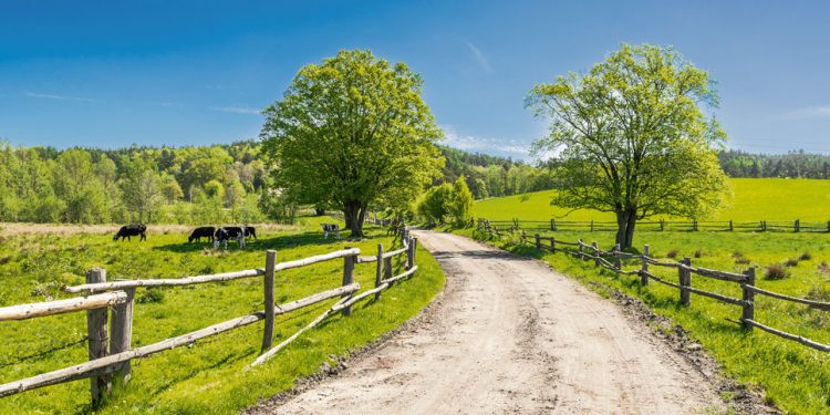 Concentración, extranjerización, emigración