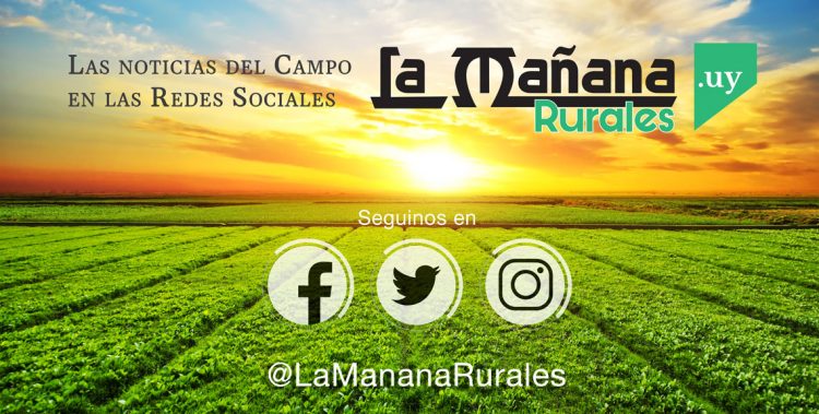 La Mañana Rurales, porque el campo sigue siendo capital