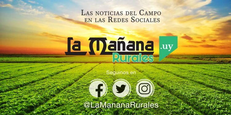 La Mañana Rurales, porque el campo sigue siendo capital