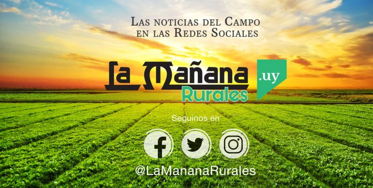 La Mañana Rurales, porque el campo sigue siendo capital