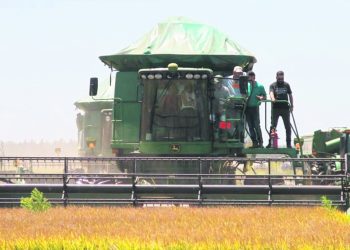 “Uruguay puede recuperar el mercado brasileño del arroz”, pero precisamos un Gobierno “que actúe”, dijo el directivo de ACA