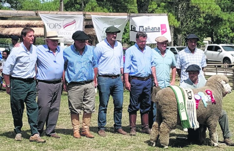 U$S 62.035 sumaron las ventas de la Expo Ovina y la Nacional Corriedale