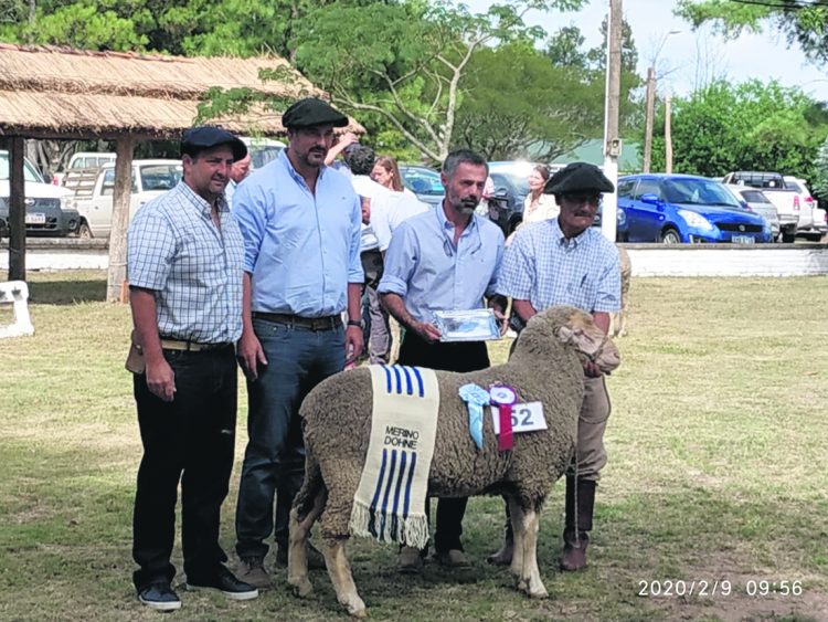 U$S 62.035 sumaron las ventas de la Expo Ovina y la Nacional Corriedale