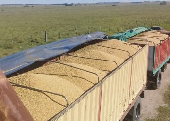 “Cuando la producción está mal, al transporte de carga le va mal”