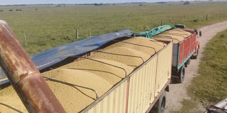 “Cuando la producción está mal, al transporte de carga le va mal”