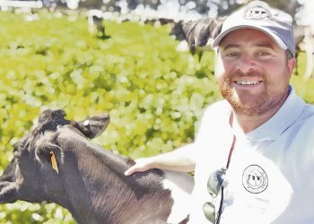 “El precio de la leche debería estar a 0,35 dólares para generar margen al productor”