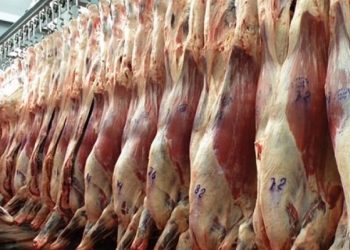 En el año las exportaciones de carne a China bajaron más del 20 %