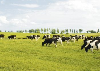 Las gremiales rurales opinan sobre el anteproyecto de la LUC