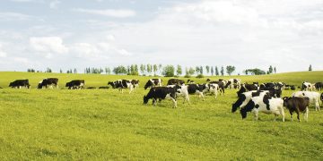 Las gremiales rurales opinan sobre el anteproyecto de la LUC