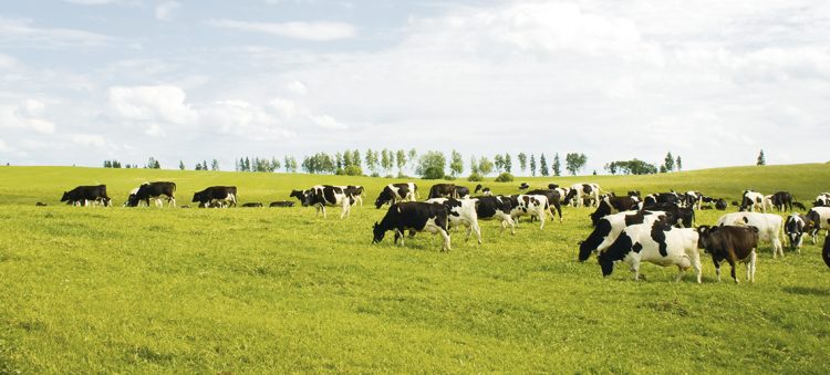 Las gremiales rurales opinan sobre el anteproyecto de la LUC