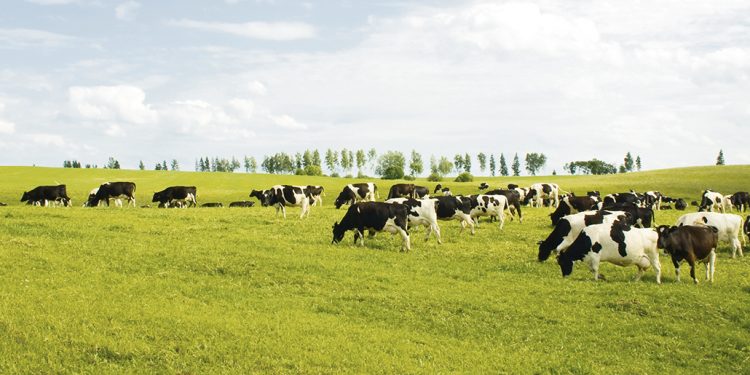 Las gremiales rurales opinan sobre el anteproyecto de la LUC