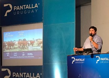 Pantalla Uruguay realizó el primer remate con excelentes valores y colocación
