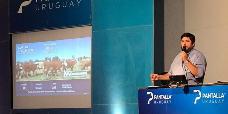 Pantalla Uruguay realizó el primer remate con excelentes valores y colocación