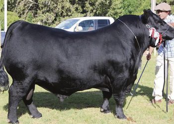 Con una nutrida agenda se prepara ExpoDurazno