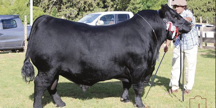Con una nutrida agenda se prepara ExpoDurazno