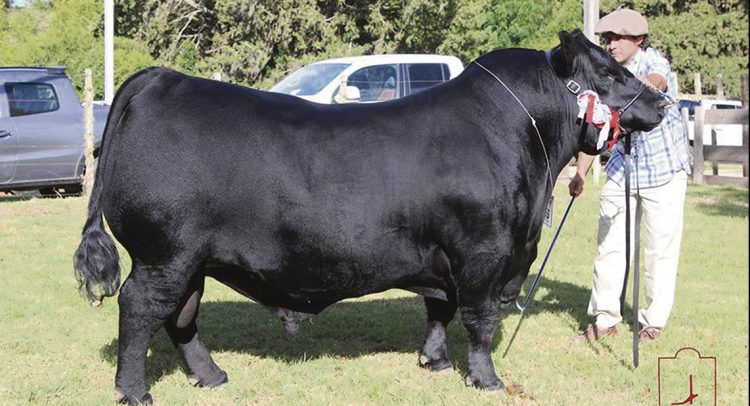 Con una nutrida agenda se prepara ExpoDurazno