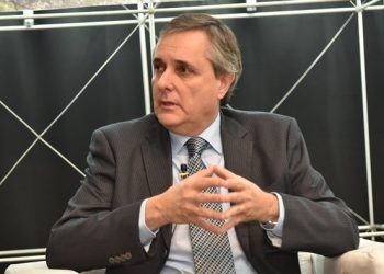 Además de celulosa, Uruguay debe tener “otra forma de elaborar la madera”, dijo el presidente de la Sociedad de Productores Forestales