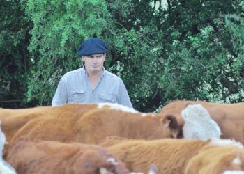 Santiago Bordaberry: la ExpoDurazno es la “presentación en sociedad” de la nueva generación animal