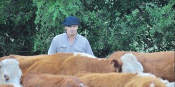 Santiago Bordaberry: la ExpoDurazno es la “presentación en sociedad” de la nueva generación animal