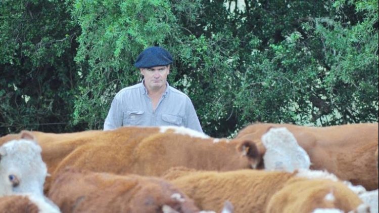 Santiago Bordaberry: la ExpoDurazno es la “presentación en sociedad” de la nueva generación animal