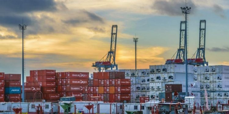 Documento de Uruguay XXI estima que en 2020 las exportaciones tendrán “una retracción”