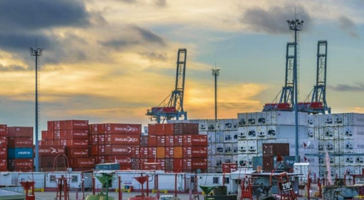 Documento de Uruguay XXI estima que en 2020 las exportaciones tendrán “una retracción”