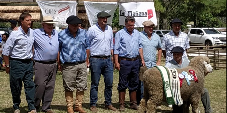 La Expo Melo mostró por qué crece en prestigio