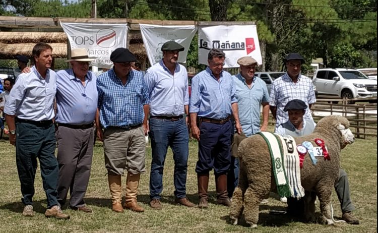 La Expo Melo mostró por qué crece en prestigio
