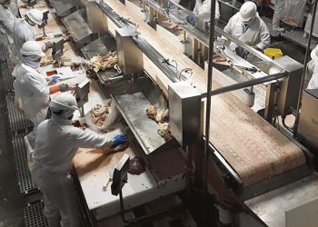 La epidemia del coronavirus posterga la recomposición del mercado cárnico