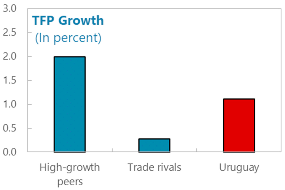 FMI: inversión en infraestructura de Uruguay se encuentra en niveles mínimos en casi 50 años