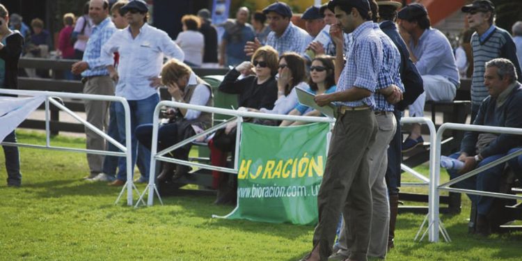 92º Expo Ovina Comienza este fin de semana con creciente prestigio en Melo