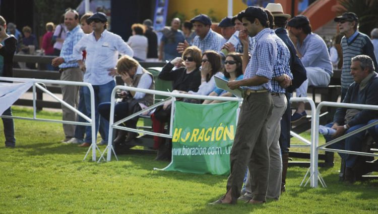 92º Expo Ovina Comienza este fin de semana con creciente prestigio en Melo