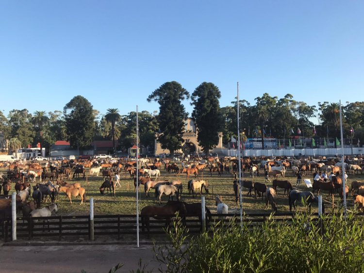 La Mañana acompañando la marcha que se convirtió en “Patriada”