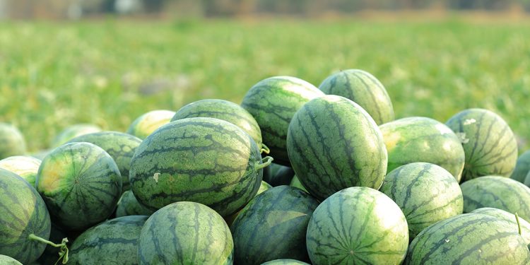 “En todo rubro productivo tenés de ‘socio’ al gobierno, los altos costos siempre están presentes”