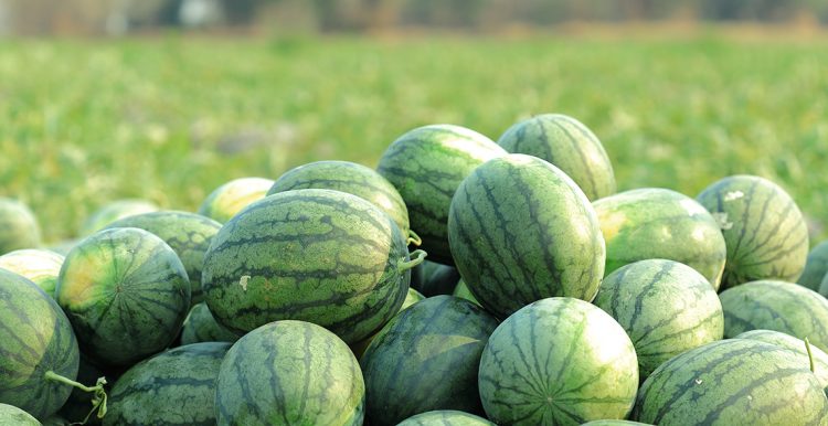 “En todo rubro productivo tenés de ‘socio’ al gobierno, los altos costos siempre están presentes”