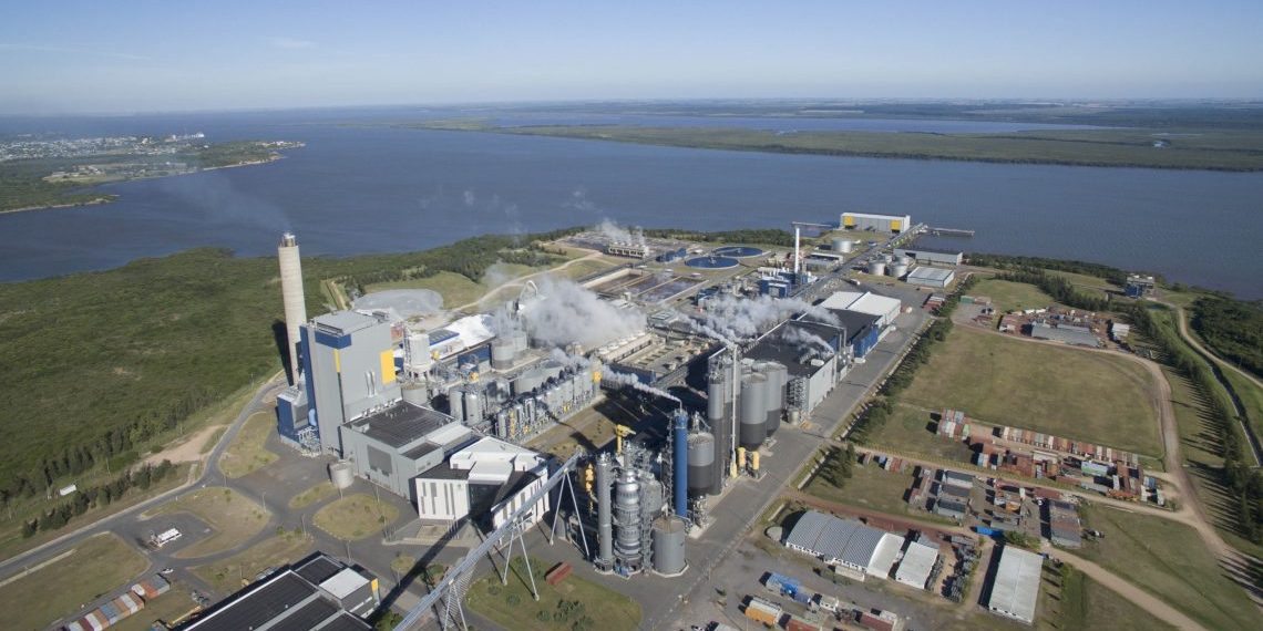 UPM centra futuro en Uruguay mientras ganancias caen 28% en 2019