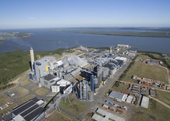 UPM centra futuro en Uruguay mientras ganancias caen 28% en 2019