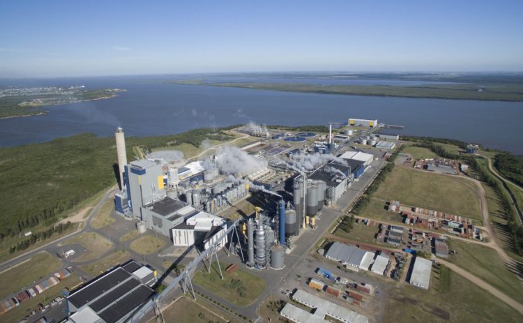 UPM centra futuro en Uruguay mientras ganancias caen 28% en 2019