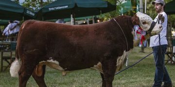 En genética, año a año, cada animal debe superar a sus antecesores