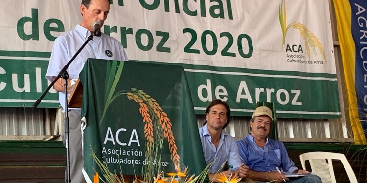 ACA celebró 100 años cosechando el mejor arroz del mundo