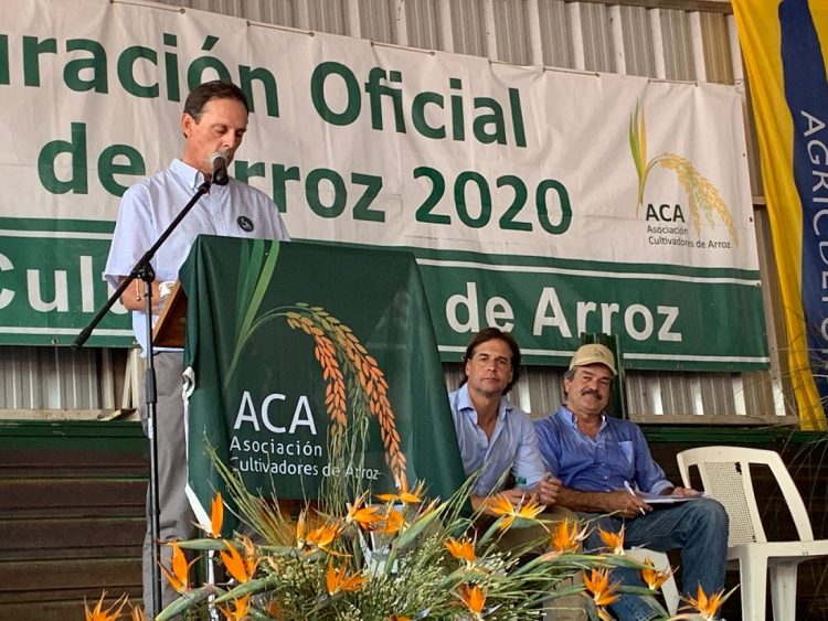 ACA celebró 100 años cosechando el mejor arroz del mundo