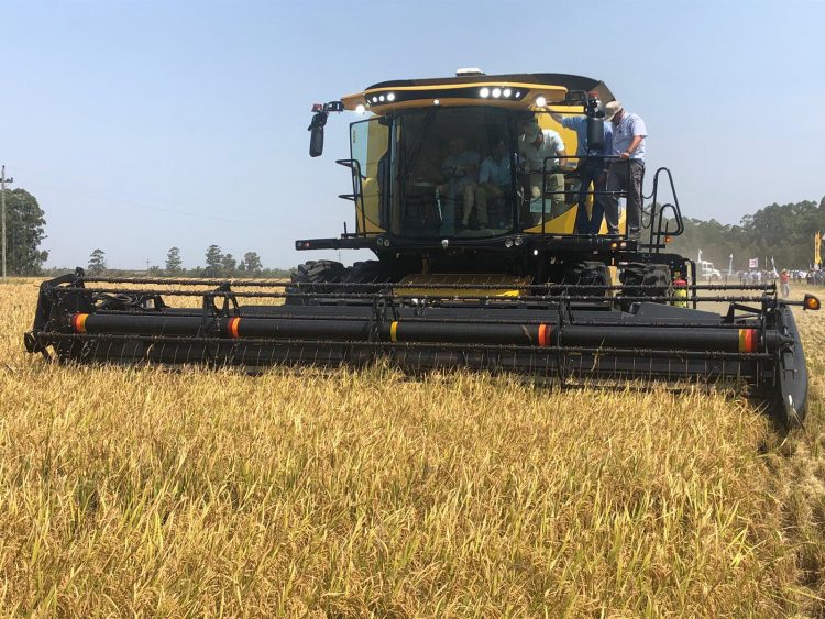 ACA celebró 100 años cosechando el mejor arroz del mundo