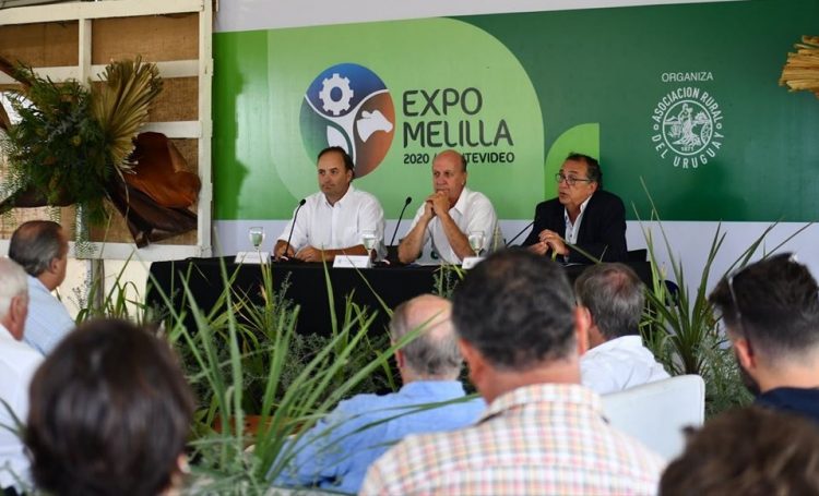 Expo Melilla va por un 9º año de crecimiento