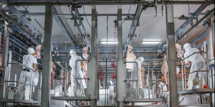 Mercado de haciendas con caída de precios y faenas